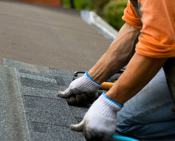 Best Storm Damage Roof Repair  in Jasper, AL