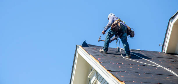 Best Storm Damage Roof Repair  in Jasper, AL